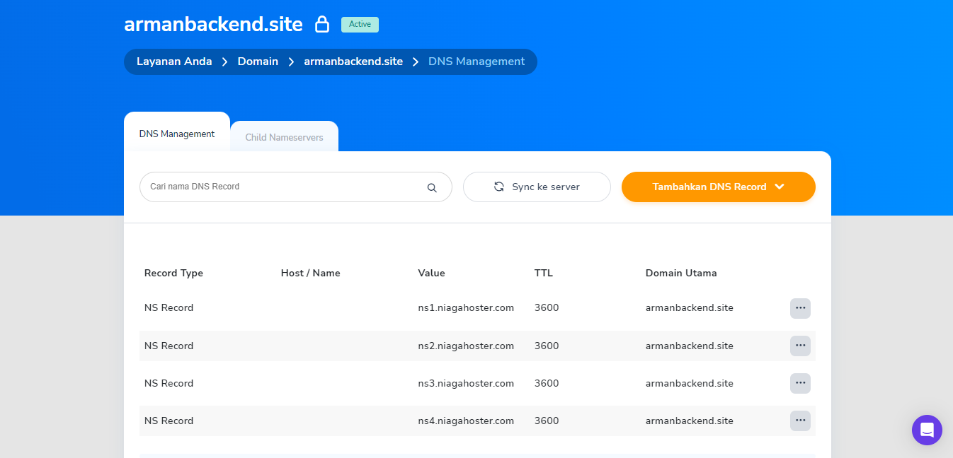 DNS Record