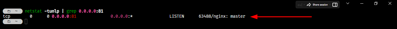 netstat nginx