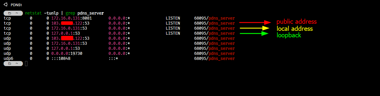 netstat pdns_server