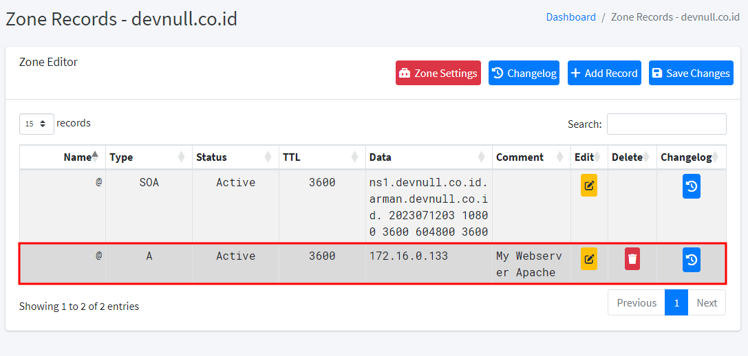 PowerDNS New Records